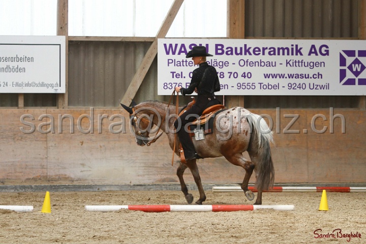 28-ApHC OT_169.jpg